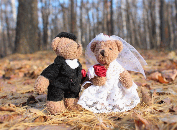 С какого возраста можно вступать в брак в России?
